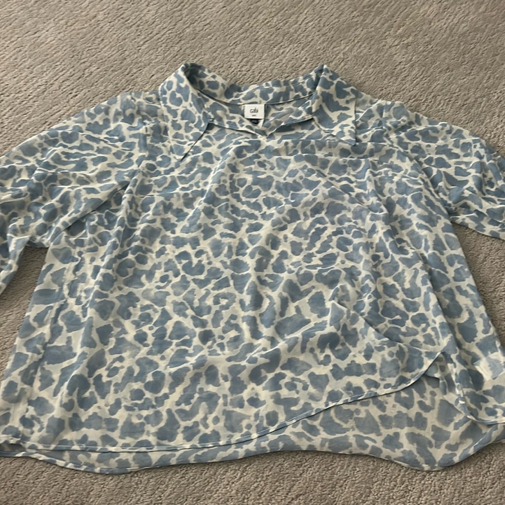 blue blouse